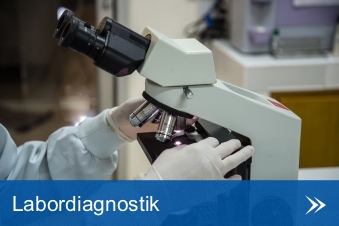 Labordiagnostik.jpg